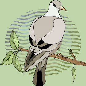 Motif Oiseau Majestueux personnalisé sur vêtement