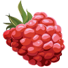 Raspberry