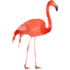 Flamingo Low Poly