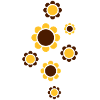 blumen**