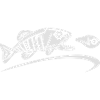 logo-tribal-blanc-notext