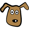 Hund