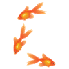 Poissons rouges
