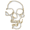 Skull 3