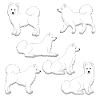 Samoyed selection