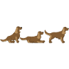 place get Cocker Spaniel