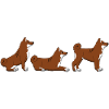 place get shiba inu