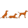 place get vizsla