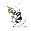 Panda Garnele