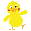 chick