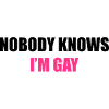 NobodyKnowsI'mGay1