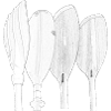 PaddelFamilie Bleistift