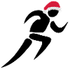 noel