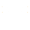 dragonflies