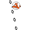 Fuchs Spuren