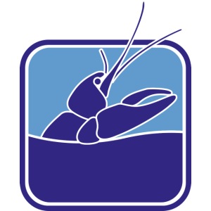 Flusskrebs-Aquarium III
