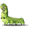 Raupe