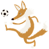 Fussballfuchs