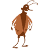 Käfer mit Jacke