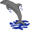dauphin sautant dauphin sautant dolphin
