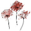 3 Mohnblumen