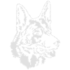 (95) Deutscher Schäferhund