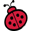 ladybug