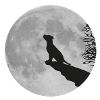 Ululato del lupo mannaro di luna piena scogliera