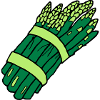 asparagus