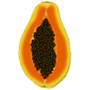 Papaya