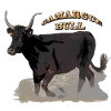 Taureau de Camargue