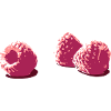 Berries