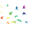 Rainbow Birds