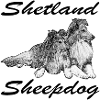 Shelties 2