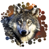 Wolfsgesicht