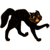 Scary Black Cat
