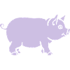 pig