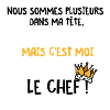 plusieurs tete