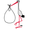 Storch