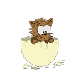 Katze aus dem ei
