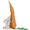 hase möhre