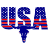 USA Longhorn png