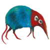 The Elephant Shrew