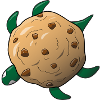 tortue cookie