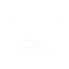 Pfadfinder