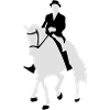 Dressage, Dressage Rider, Horse
