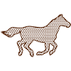 Pony équitation Rider