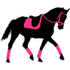 Dressurpferd Pferd