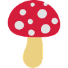 Fliegenpilz