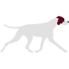 Pointer